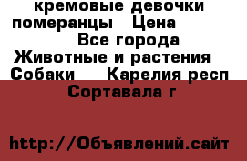 кремовые девочки померанцы › Цена ­ 30 000 - Все города Животные и растения » Собаки   . Карелия респ.,Сортавала г.